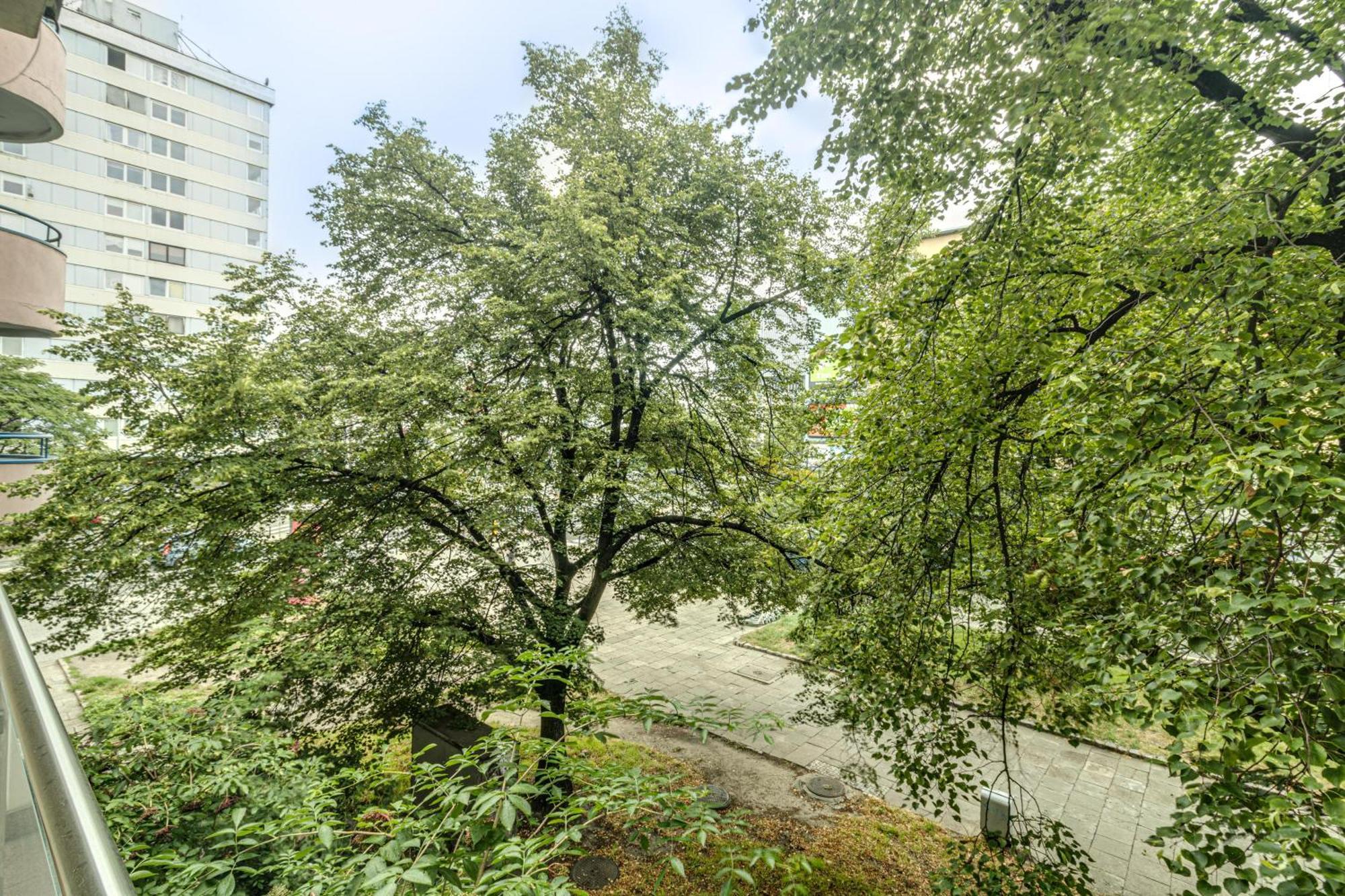Rentplanet - Apartament Kosciuszki Breslavia Exterior foto